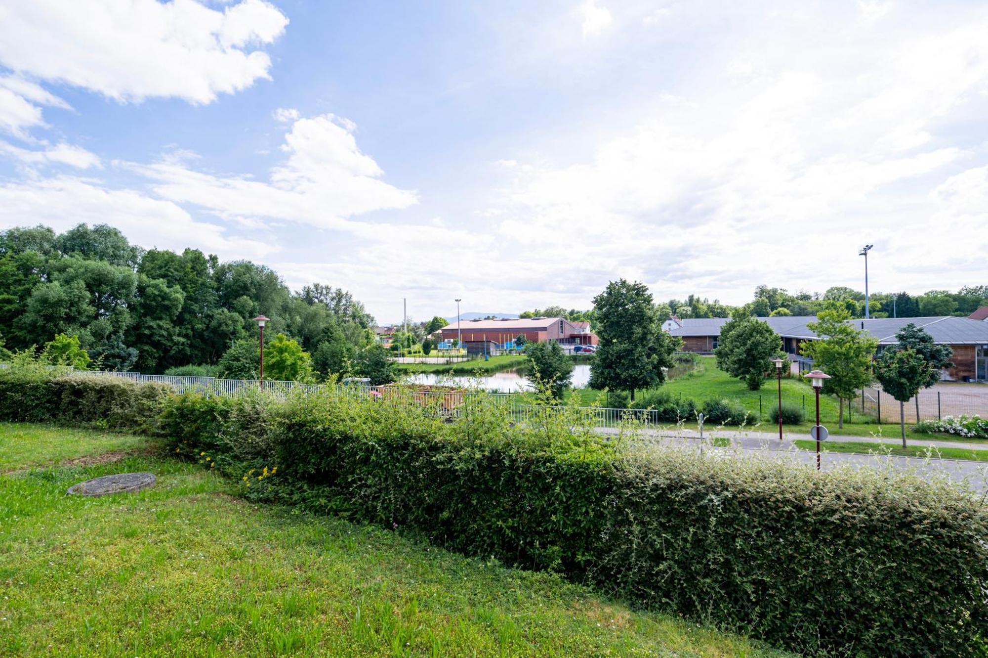 Chez Virgil - Terrasse Vue Degagee, Parking Prive Daire Ernolsheim-Bruche Dış mekan fotoğraf